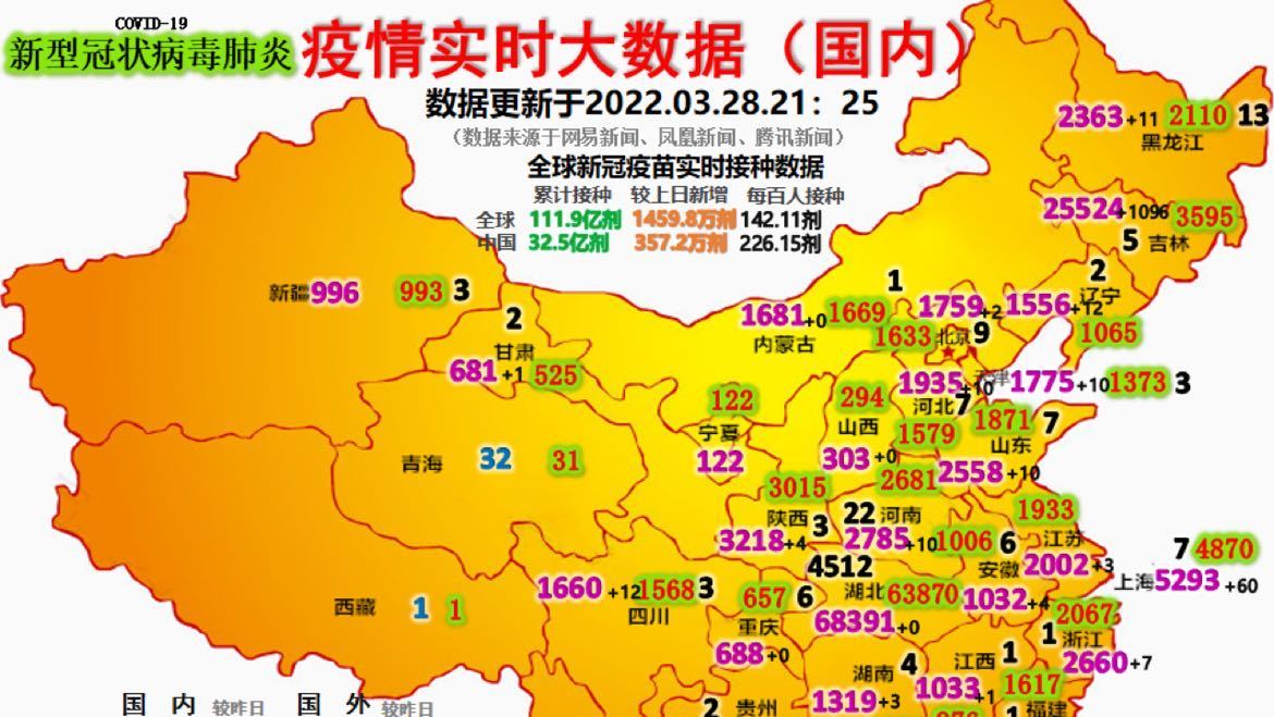 最新疫情動態(tài)詳解，初學者與進階用戶的步驟指南
