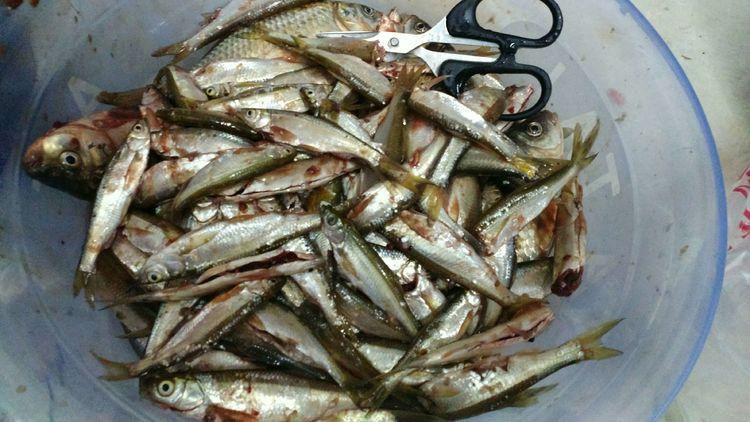 昆明最新野釣地點(diǎn)探索，重拾生活激情與自信的自然之旅
