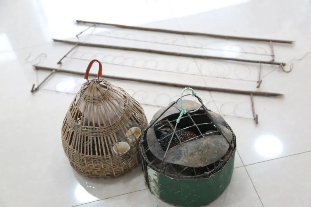 小巷中的神秘寶藏揭秘，最新捕鳥工具揭秘