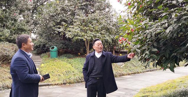 最新花木求購(gòu)，開啟一場(chǎng)尋綠之旅的溫馨旅程