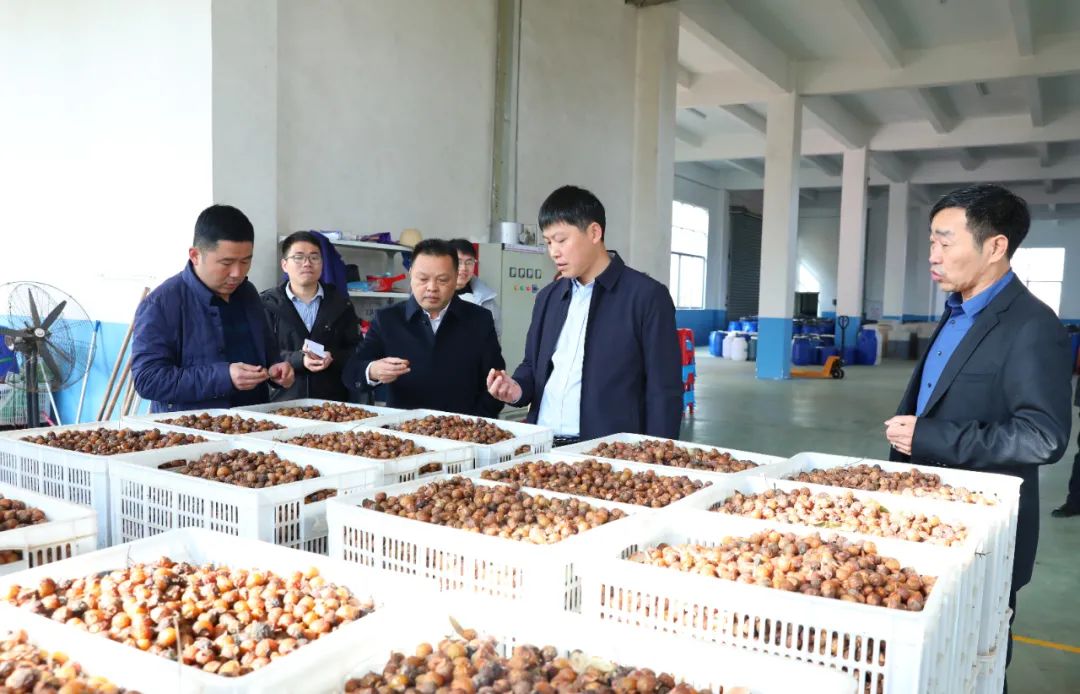 建寧最新新聞，城市溫馨日常與友情力量的展現(xiàn)