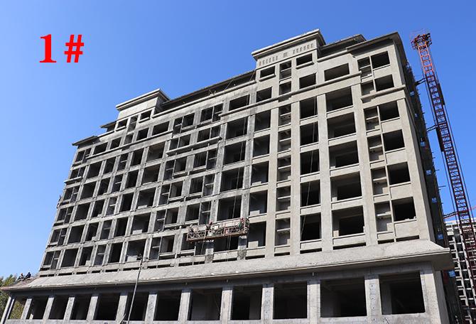 平輿最新樓盤市場現(xiàn)狀與前景展望，深度解析市場趨勢與發(fā)展前景展望